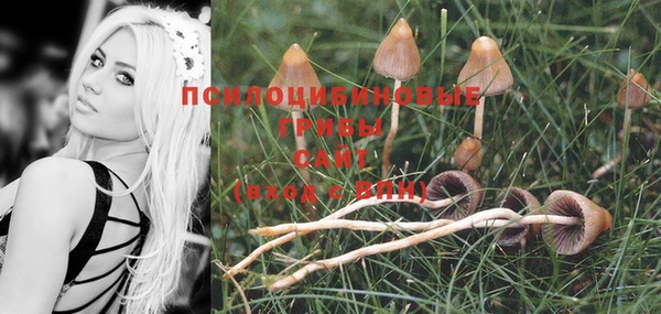 PSILOCYBIN Гусев