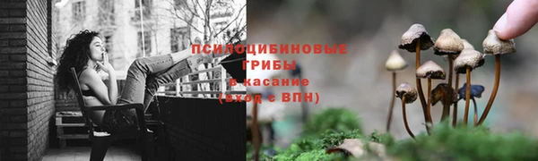 СК Магадан