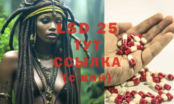 spice Магас