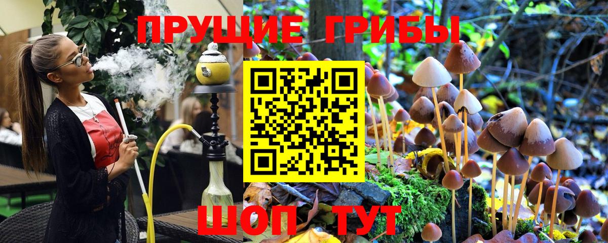 Когалым  Псилоцибиновые грибы Psilocybine cubensis  закладка  Вход с VPN 