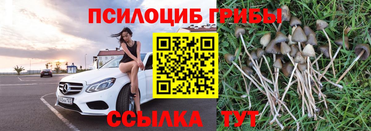 Галлюциногенные грибы прущие грибы Когалым