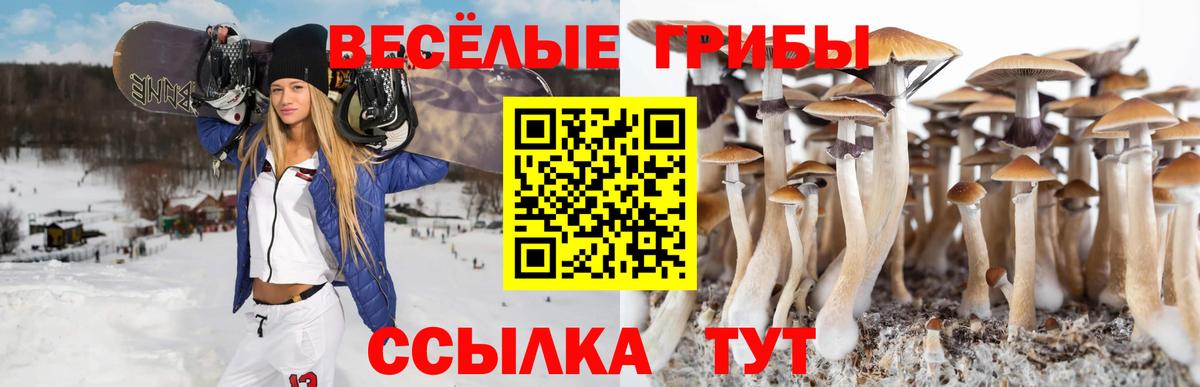 Галлюциногенные грибы прущие грибы  Когалым 