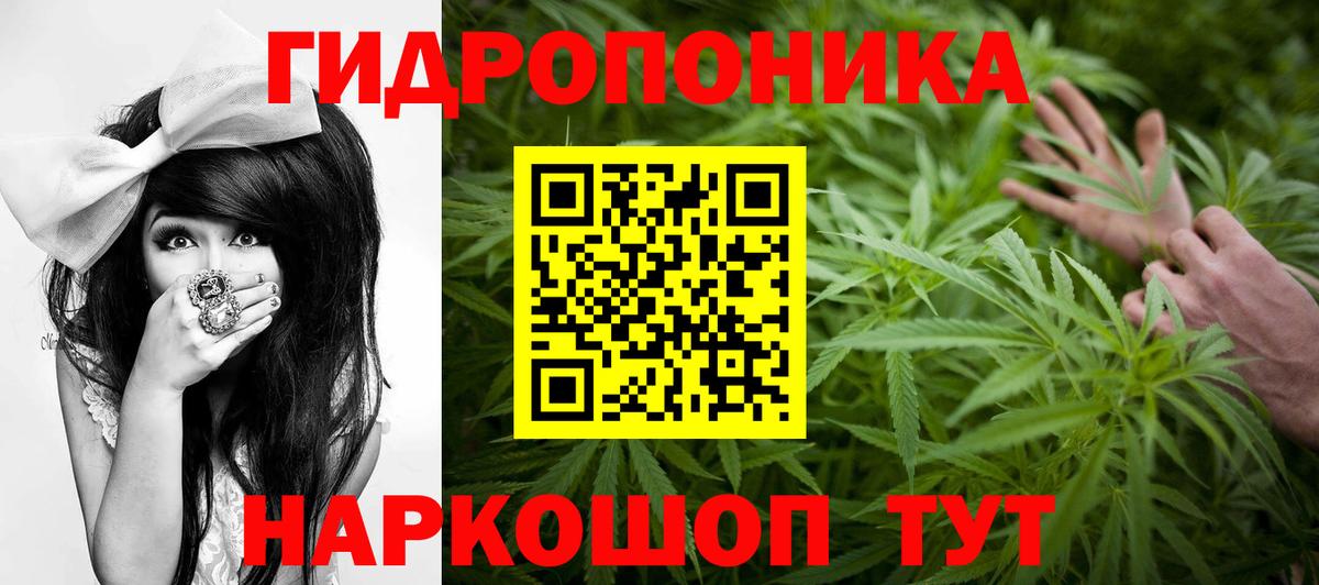 Конопля Bruce Banner Когалым